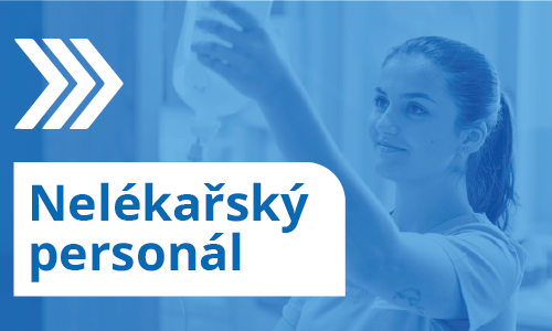 nelek_personal